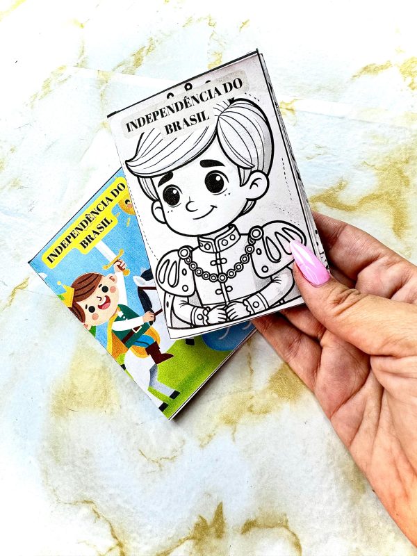 Livro ZINE Independência do Brasil