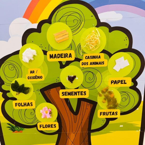 “As árvores cuidam de nós todos os dias” 💚 - Imagem 3