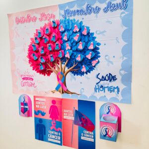 ✨🌸💙PAINEL Outubro Rosa & Novembro Azul 💙🌸✨